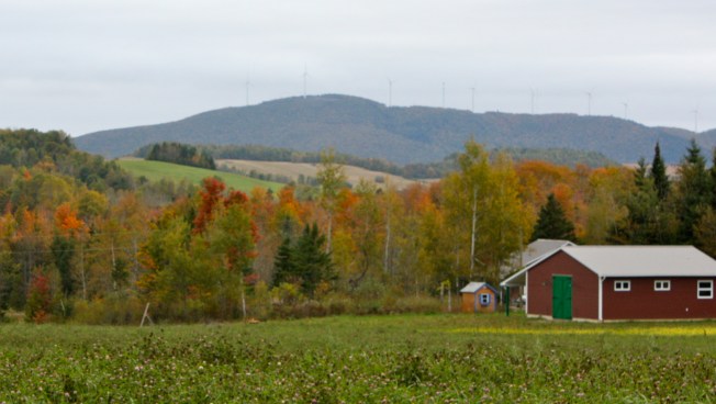 The barn in the rain